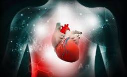 PLOS Med：近五成降压药物使用不当！45个国家心血管病风险和管理概况