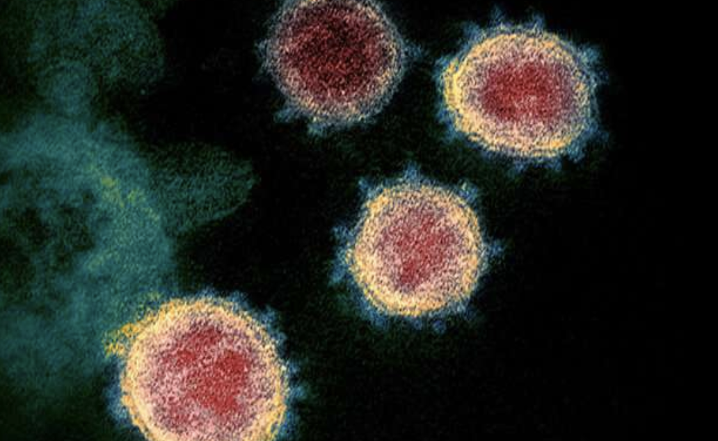 Cell ：新冠病毒变异，疫苗效力明显下降！