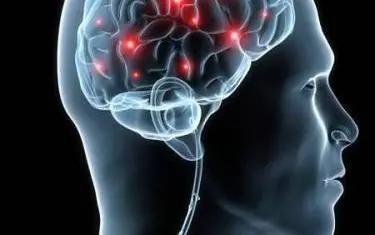 Nat Neurosci：介导组织损伤和类抑郁状态引起的痛觉异常的神经基础不同
