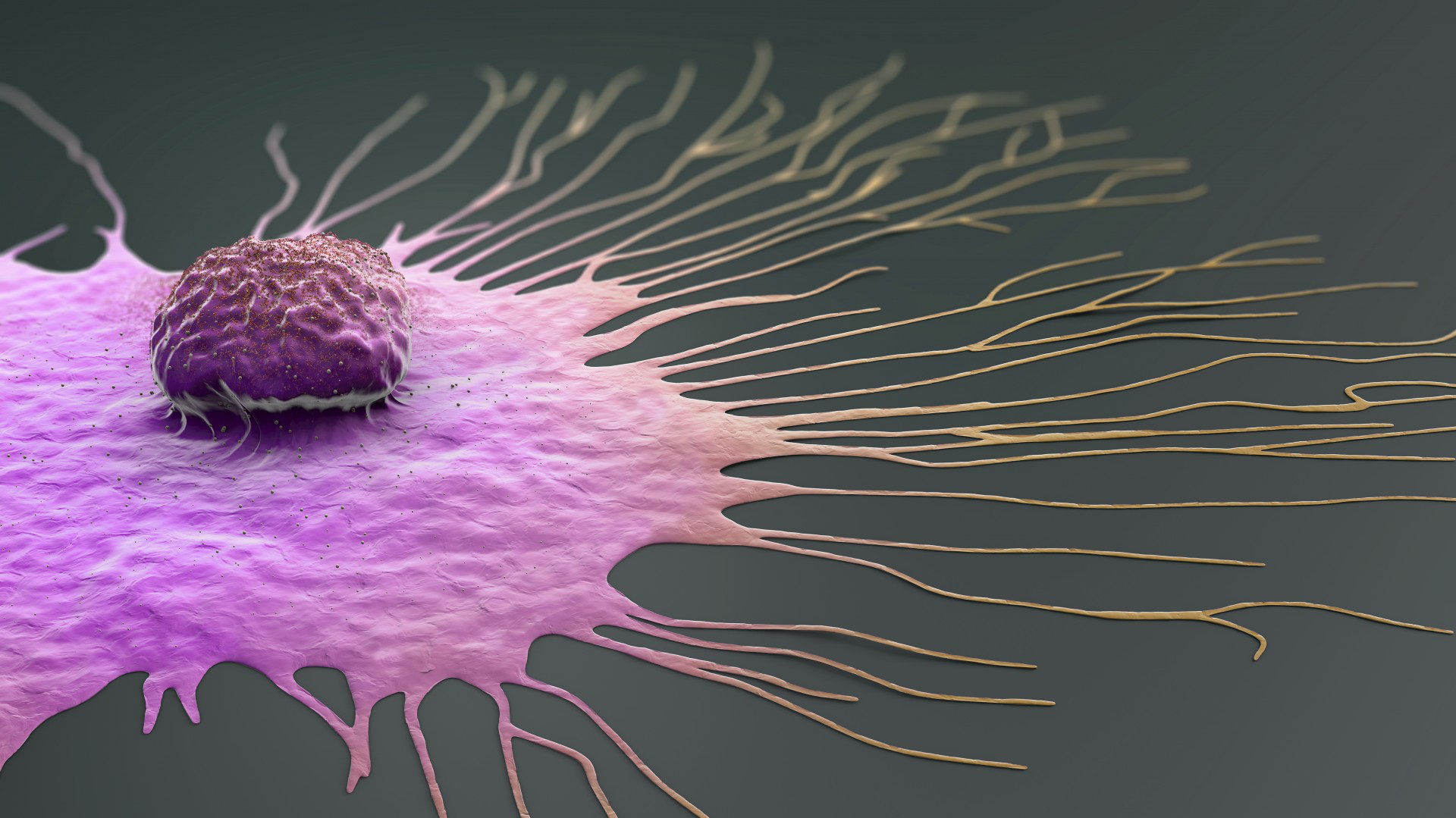 Bioelectricity:电磁场可阻碍乳腺癌转移扩散!