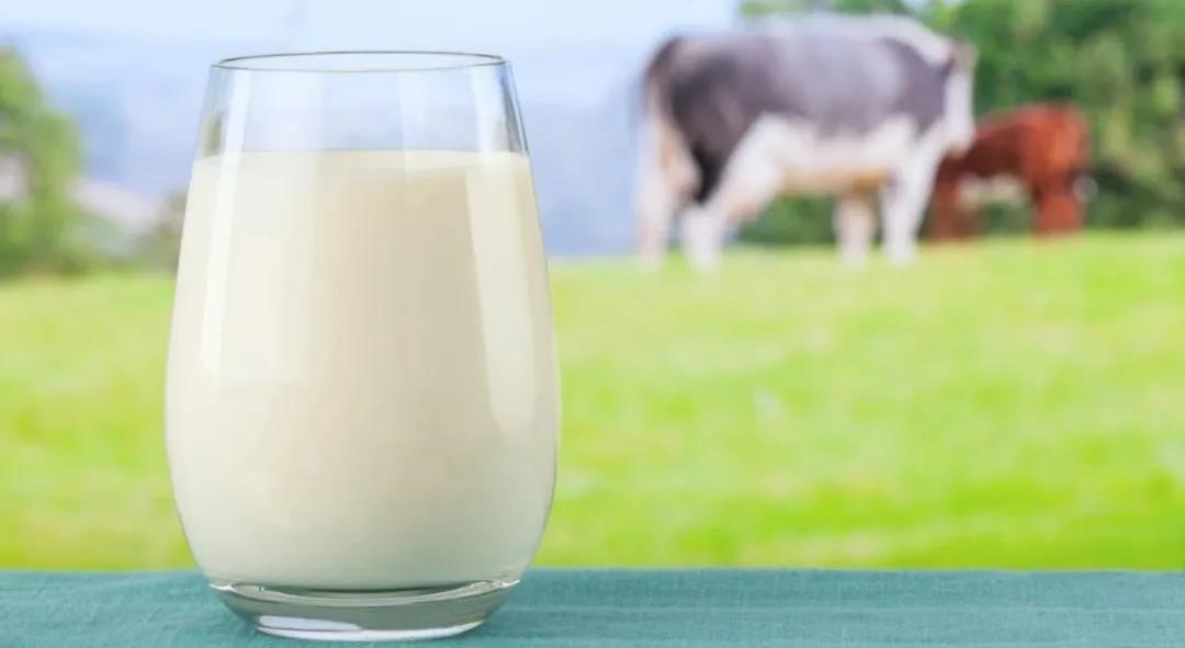 PNAS：诺奖得主最新论文，揭示牛奶和牛肉间接致癌的原因：它们携带有一种新型病原体