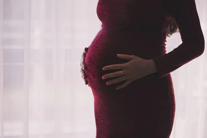 Sci Rep：母亲孕期的压力是如何影响胎儿<font color="red">应激</font>反应和免疫系统的？