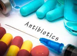 Nat Com：新型抗生素单次清除小鼠耐药性淋病