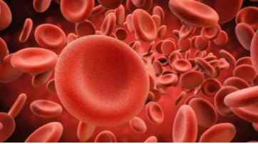 Nat Commun：受铁调控的微管细胞骨架蛋白可作为治疗铁限制性贫血的潜在靶标