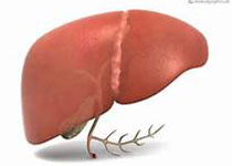 Gastroenterology：新研究揭示非酒精性脂肪肝炎的有效治疗靶标和血清诊断标志物
