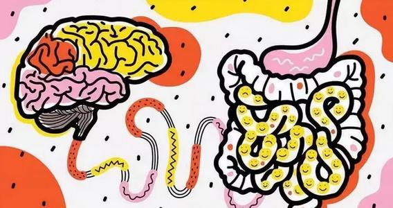 Nature Neuroscience:揭示<font color="red">肠道</font>大脑的复杂性