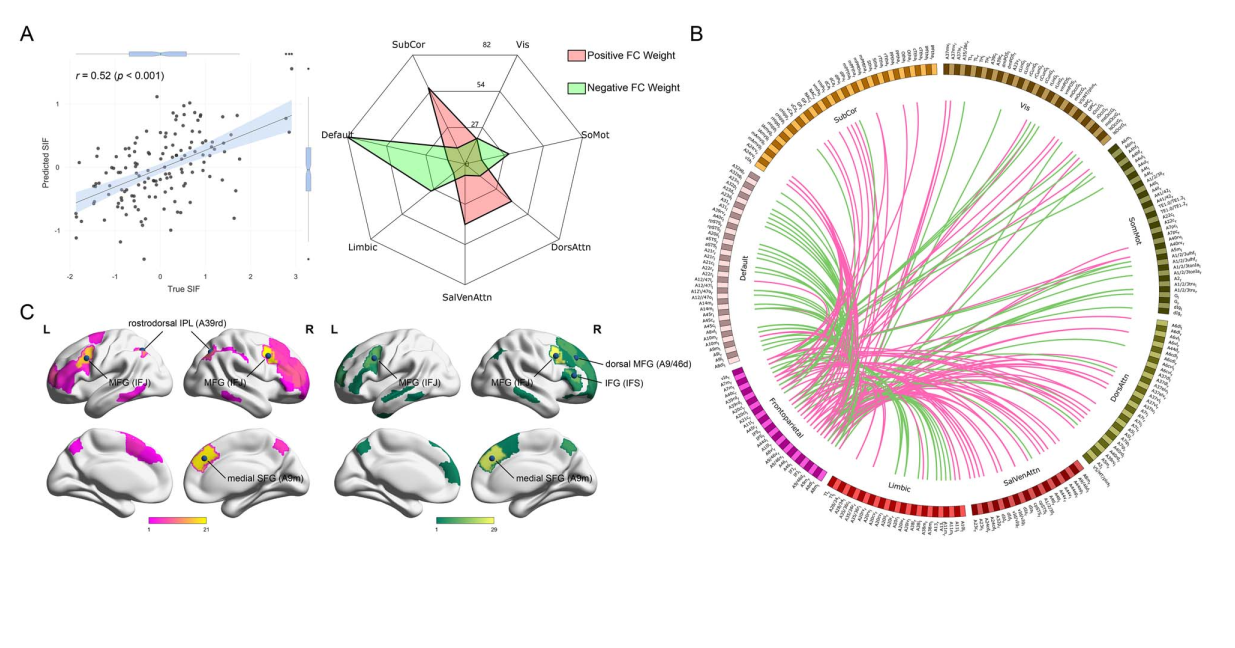 Cerebral Cortex：前顶控制网络预测记忆抑制能力