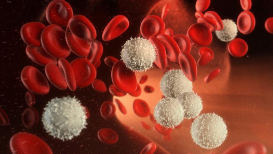 Nat Commun：lncRNA HOXBLINC促进NPM1突变的急性髓性白血病的发生