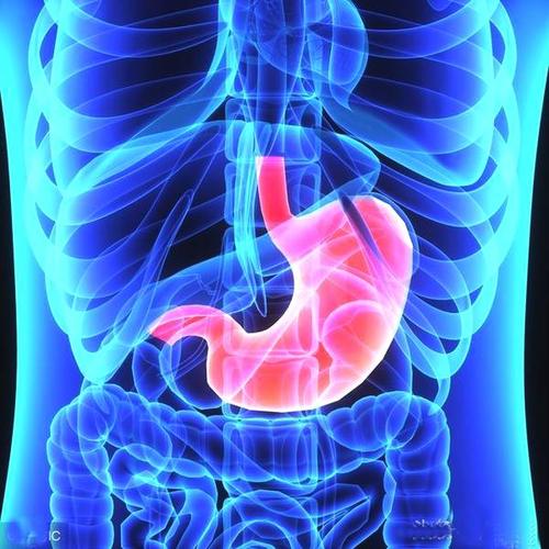 Gastric Cancer：口服营养补品与常规饮食在治疗胃切除术后体重减轻的中的效果差异