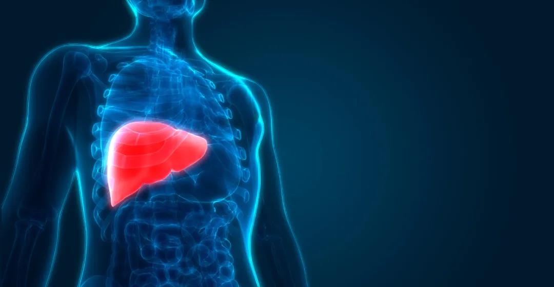 Hepatol Int：安罗替尼（<font color="red">Anlotinib</font>）治疗晚期肝细胞癌（HCC）的疗效和安全性：来自ALTER‑0802研究结果