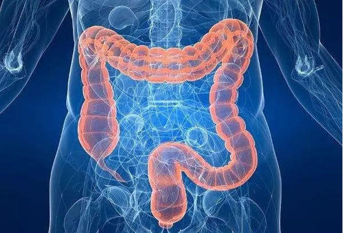 J Gastroenterology: 乳酸菌应激蛋白GroEL可预防结肠炎症的发生