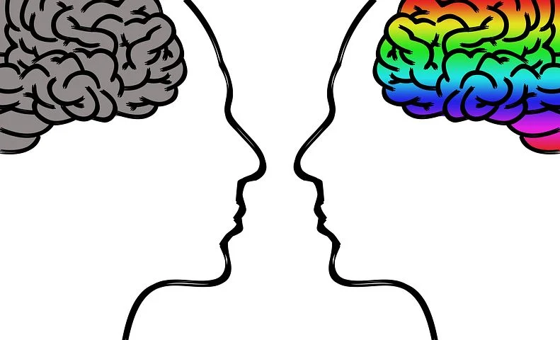 Cerebral Cortex：新型计算模型揭示大脑皮层<font color="red">发育</font>的奥秘