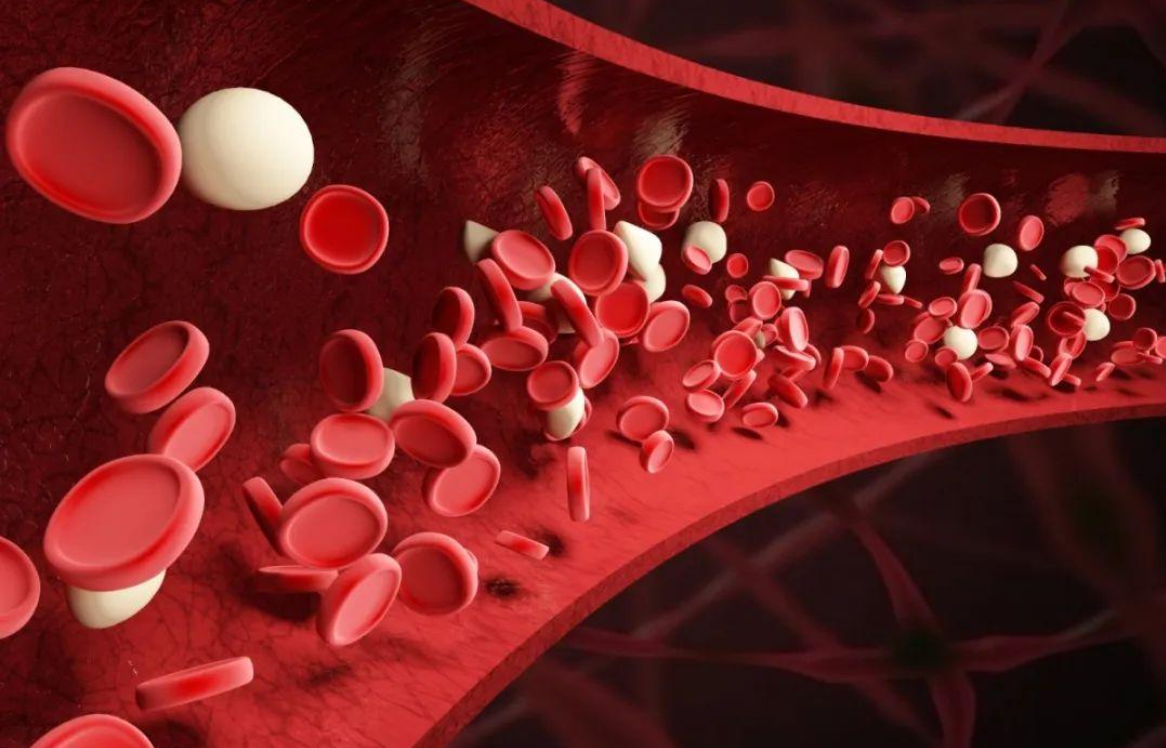 Leukemia：免疫介导的获得性再生障碍性贫血患者的T细胞基因突变分析