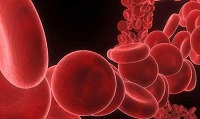 J Clin Oncol：环磷酰胺或额提高非亲缘关系不相合供体的<font color="red">造血细胞</font><font color="red">移植</font>的可行性