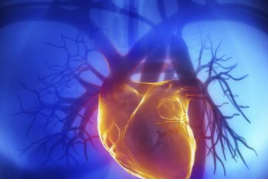 J Heart Lung Transplant：肺血管阻力指数预测肺动脉高压患者预后的性能优于肺血管阻力？
