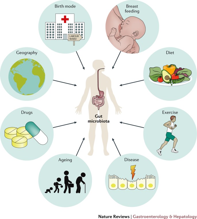 Lancet子刊 | 我国学者：乳制品摄入对肠道微生物和心脏健康的影响