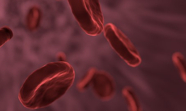 III期临床FIGARO-DKD研究结果：拜耳<font color="red">非</font><font color="red">奈</font><font color="red">利</font><font color="red">酮</font>在慢性肾病合并2型糖尿病患者中达到心血管首要复合终点