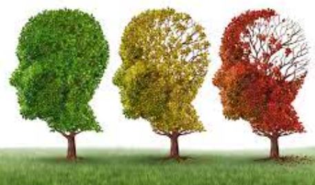 Alzheimer's&Dementia：炎症和遗传因素或导致有<font color="red">基础</font>疾病的老年人痴呆风险增加