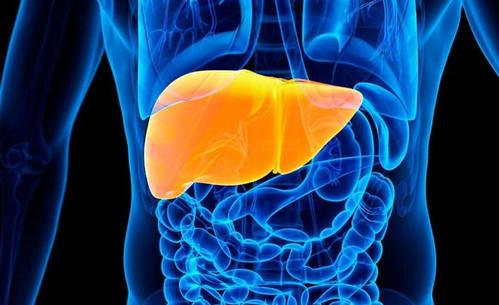 Hepatology：肝肾综合征患者对特利加压素和白蛋白的反应与肝移植的预后改善相关