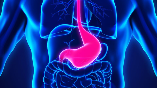GUT：中高危胃肠化生患者要定期内镜检查评估肠化生情况，预防胃癌