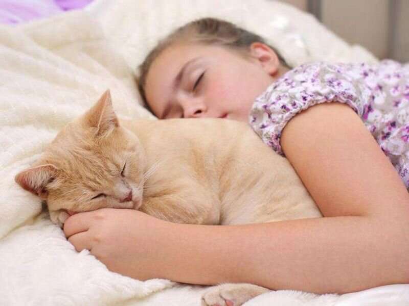 美国国家睡眠基金会：想让孩子拥有更好的睡眠？不如养只宠物吧！