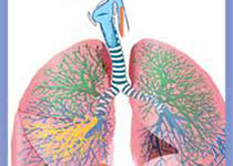 Eur Respir J：慢性呼吸道疾病是COVID-19患者严重结局的预测指标