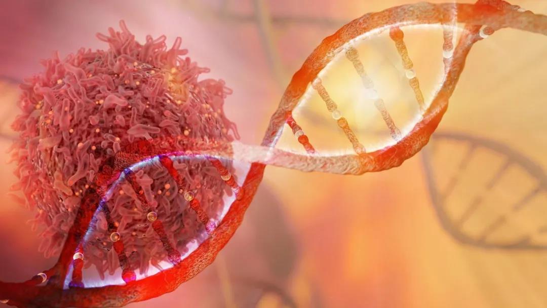 Nature：新型单细胞测序技术，揭示乳腺肿瘤生长<font color="red">过程</font>中持续积累遗传突变