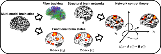 Nature Communications：<font color="red">多巴胺</font>调节工作记忆期间的脑网络动态，且在精神分裂症患者中减弱