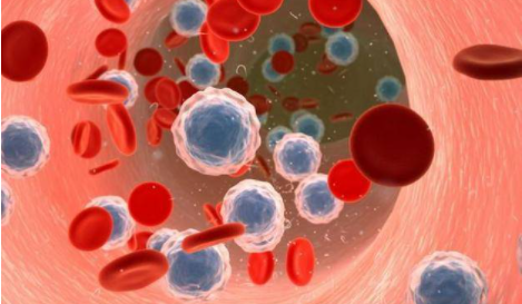 Leukemia：iFCG化疗方案治疗携带IGHV突变且无TP53突变的慢性<font color="red">淋巴细胞</font>白血病