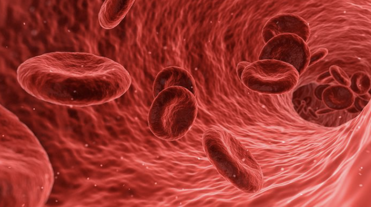 II期BEYOND研究结果公布：罗特西普可改善成人非<font color="red">输血</font>依赖性（NTD）β-地中海贫血生活质量