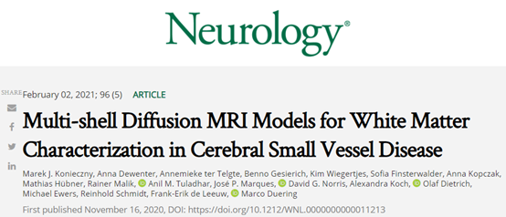 Neurology：多重扩散成像模型可用于评估脑小血管疾病的<font color="red">白质</font>表征