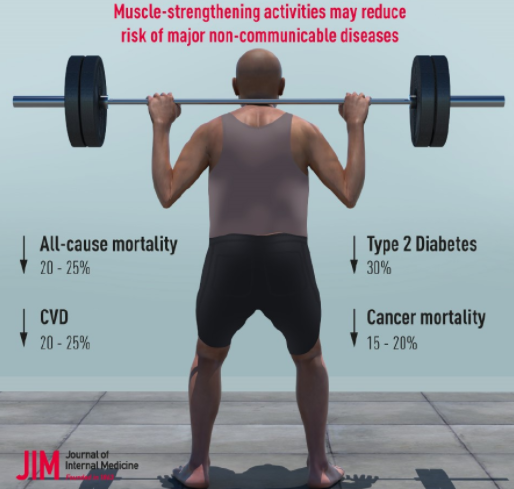 J INTERN MED：<font color="red">肌肉</font>强化活动与心血管疾病、2型糖尿病、癌症和死亡风险的关系