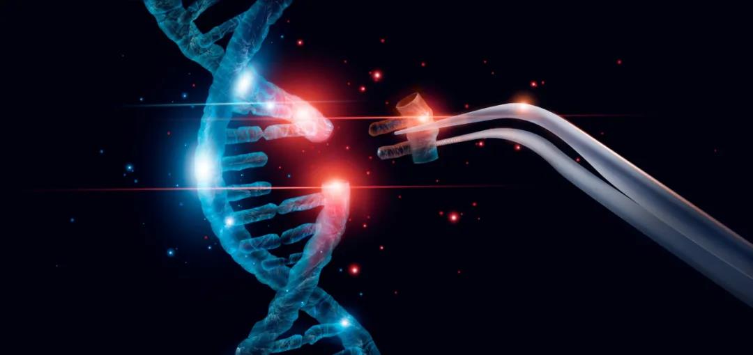 NEJM：开启医学新时代：首个体内CRISPR基因编辑临床试验结果公布，安全有效