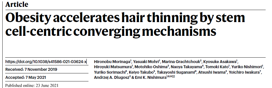 Nature：肥胖真的引起脱发！科学家找到引起脱发的关键干细胞机制