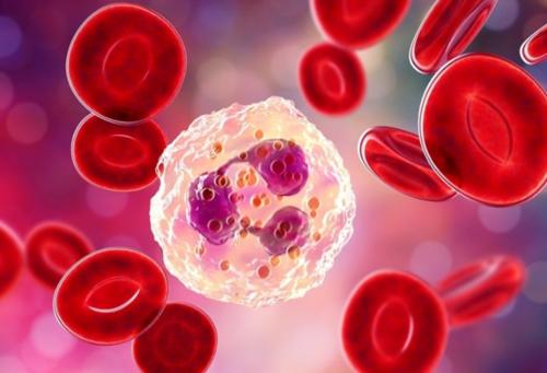 DCR:淋巴细胞与 C 反应<font color="red">蛋白</font>的比率是转移性结直肠癌患者中最敏感的预后指标