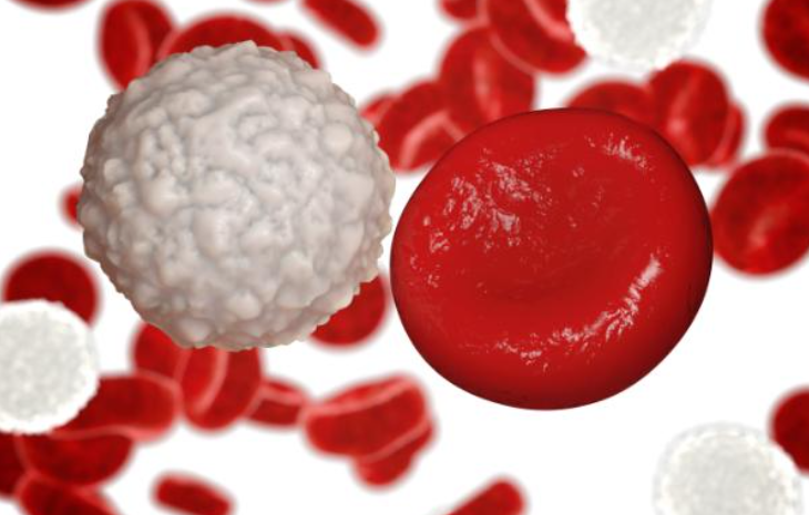 Cell Death Differ：<font color="red">MLKL</font>介导G-CSF的释放促进急性髓系白血病中的髓系分化