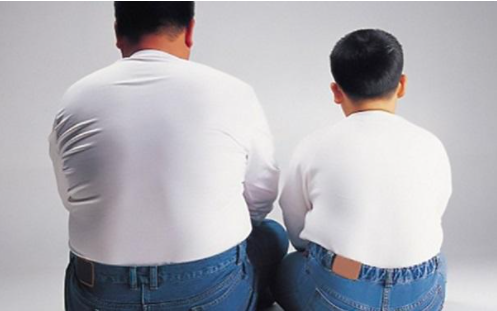Nat Commun：特异性拮抗Y1R可预防饮食引起的肥胖