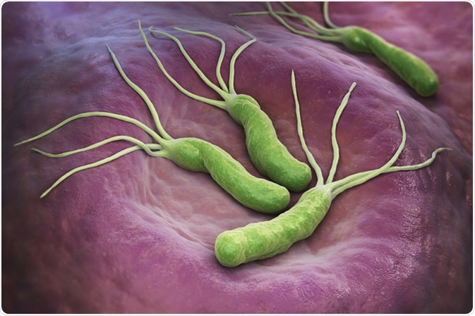 Gastroenterology：还敢滥用抗生素吗？幽门螺杆菌都开始耐药啦！