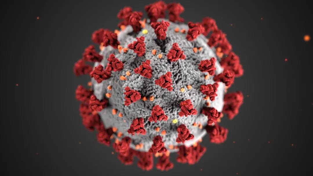 Cell：无惧病毒变异，T细胞疫苗可对新冠突变株及相关病毒提供广泛保护