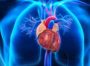 Eur Heart J：<font color="red">羧基</font><font color="red">麦芽糖</font><font color="red">铁</font>对心脏再同步治疗后的心脏逆重构的作用