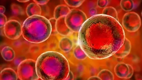 Leukemia：<font color="red">环状</font>RNA在套细胞淋巴瘤中的表达模式和预后潜力