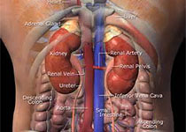 JCEM：肾上腺腺瘤患者的心脏代谢结局和死亡率