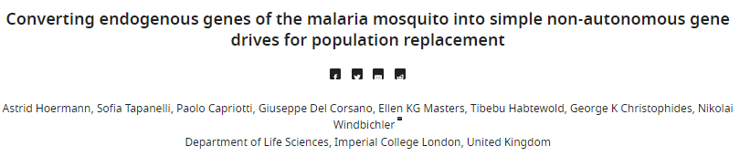 eLife：改造蚊子基因是否阻止传播疟疾