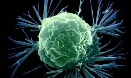 Br J Cancer：免疫检查点抑制剂ICI预治疗提高达卡巴嗪治疗转移性黑色素瘤的疗效