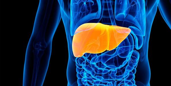 BMC Gastroenterology：增强型肝纤维化测试在酒精相关肝病中诊断和预后性能的检测