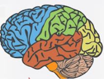 Brain：200多万人<font color="red">数据</font>提示，<font color="red">重复</font>的脑外伤居然会增加癫痫风险！
