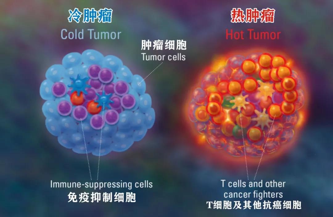 Science Translational Medicine：低剂量放射性核素靶向治疗，让冷肿瘤变热，提高免疫疗法响应