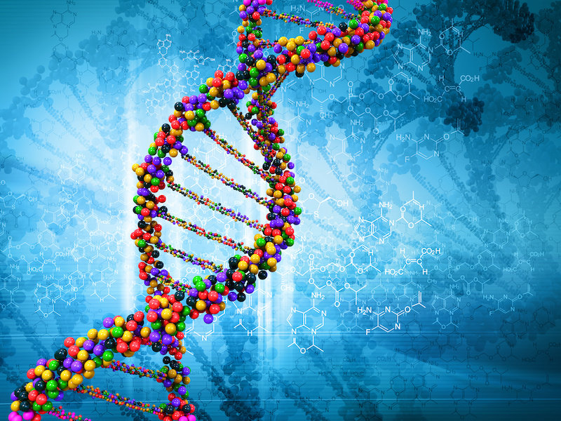 最新发现“垃圾DNA”序列在衰老、癌症中的潜在作用
