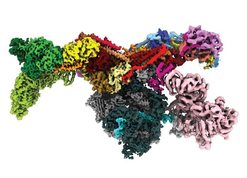 Nature：生命科学的变革：DeepMind人工智能可以预测大量蛋白质的<font color="red">结构</font>