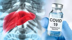 EASL专家立场声明：慢性肝病、肝胆恶性肿瘤及肝<font color="red">移植</font>受者是否可接种新冠疫苗？